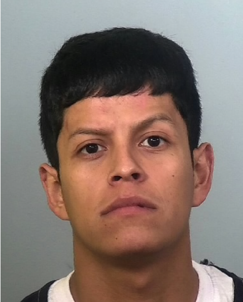 Cesar Navarrete mugshot